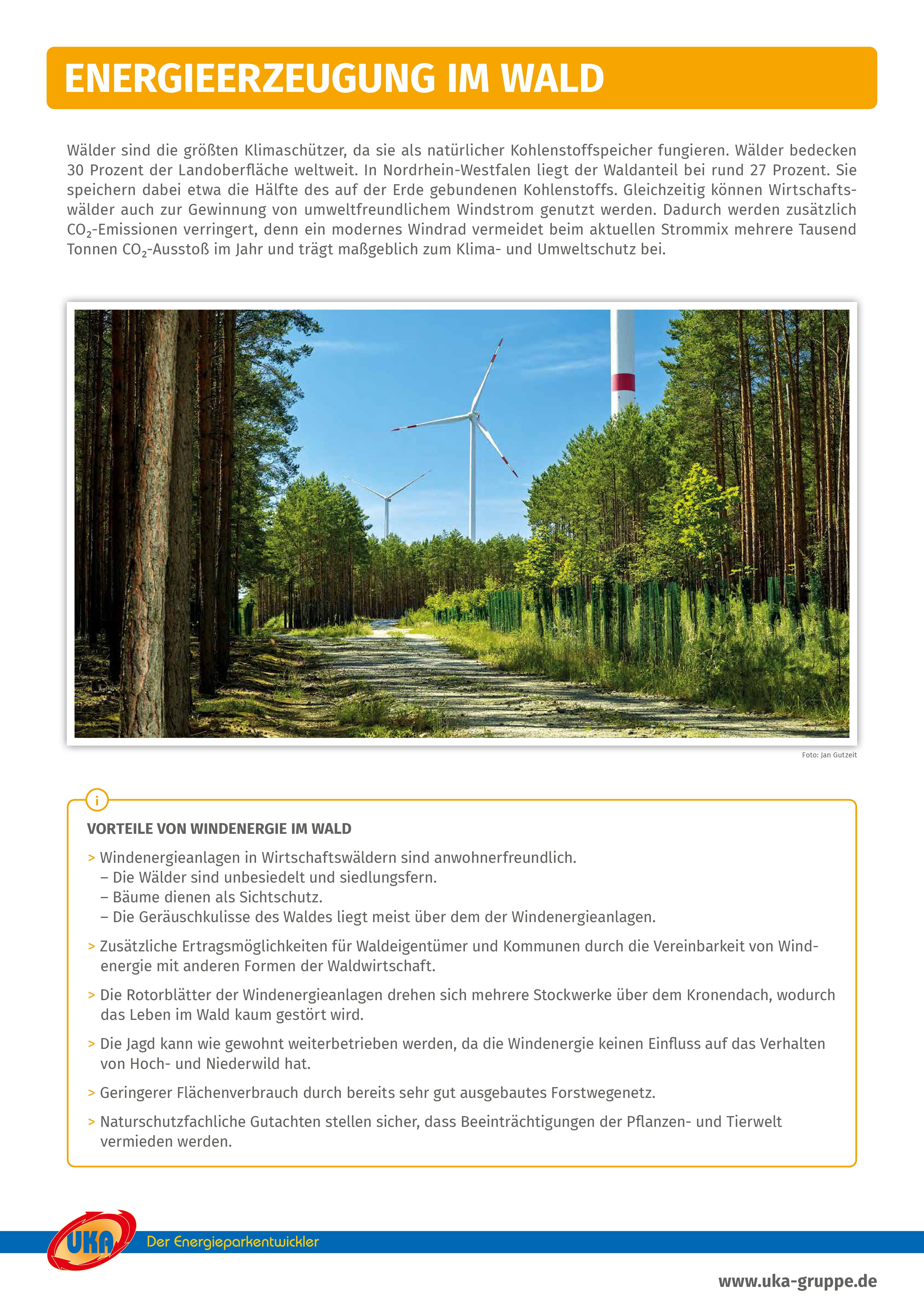 thumbnail Vorteile der Windenergie im Wald